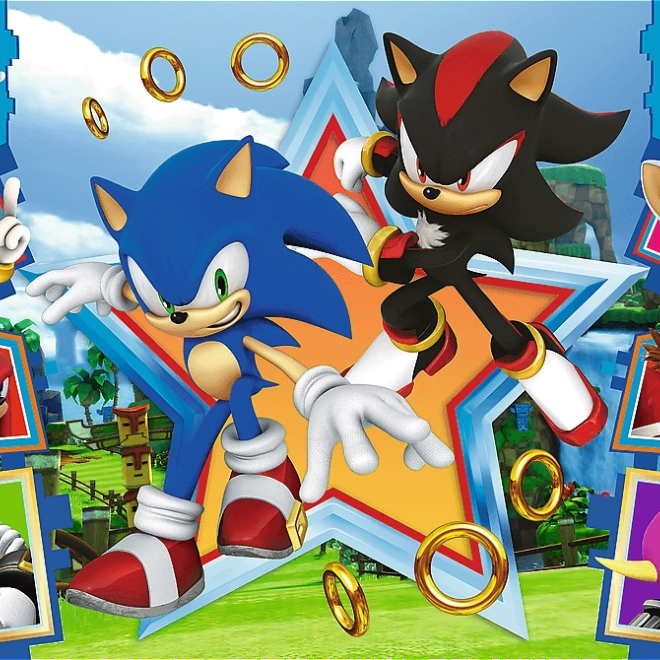 Puzzle 100 darabos - Ismerkedjen meg Sonic-kal