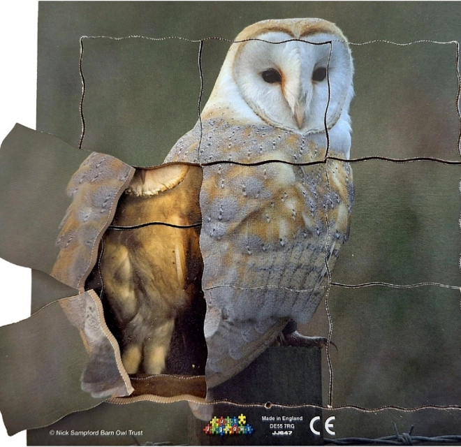 Just Jigsaws Bagoly és életciklusa - fa rétegelt puzzle