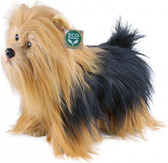 Valósághű hosszú szőr és bájos részletek