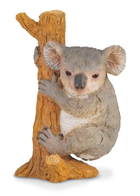 Koala figura Collecta