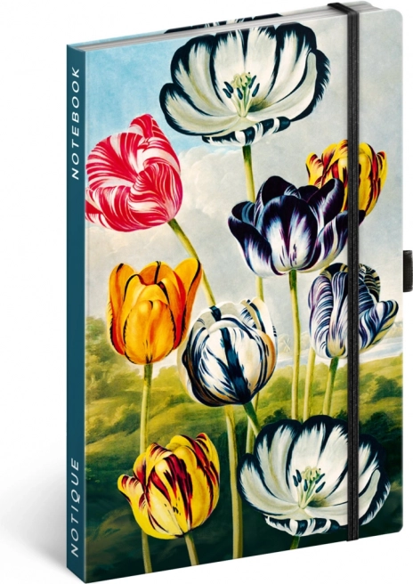 Notesz Tulipánok Kateřiny Winterová, vonalas, 13 x 21 cm