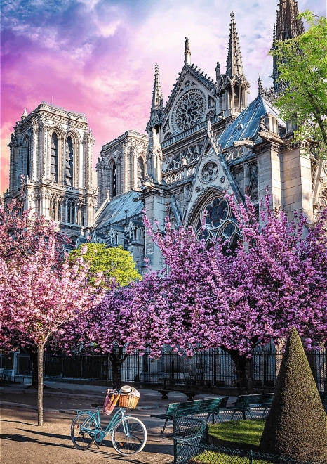 Notre-Dame-székesegyház 1000 darabos prémium puzzle