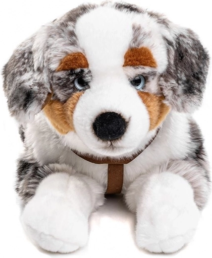 Hám a még több mókáért