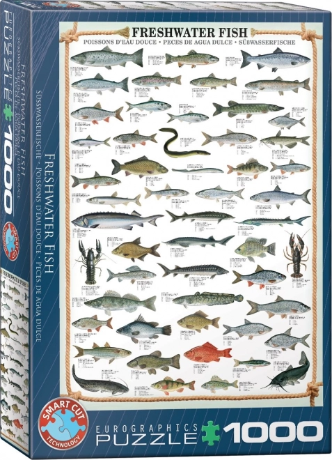 EUROGRAPHICS Puzzle Édesvízi halak 1000 darab