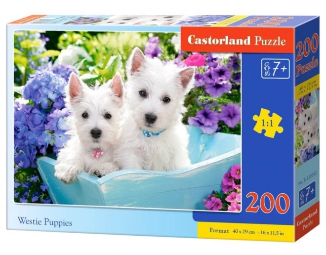 Westie kölyökkutyák puzzle