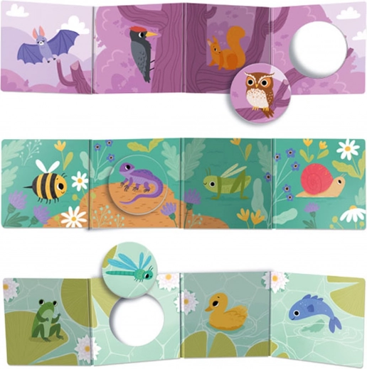 Interaktív ablakok és behelyezhető zsetonok