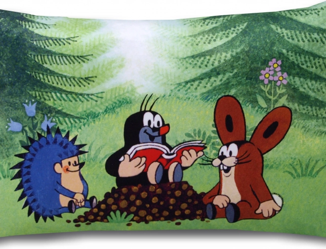 Párna Kisvakond olvasónak 45x30
