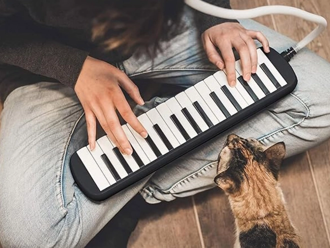 Melodika hangszer táskában két fúvókával