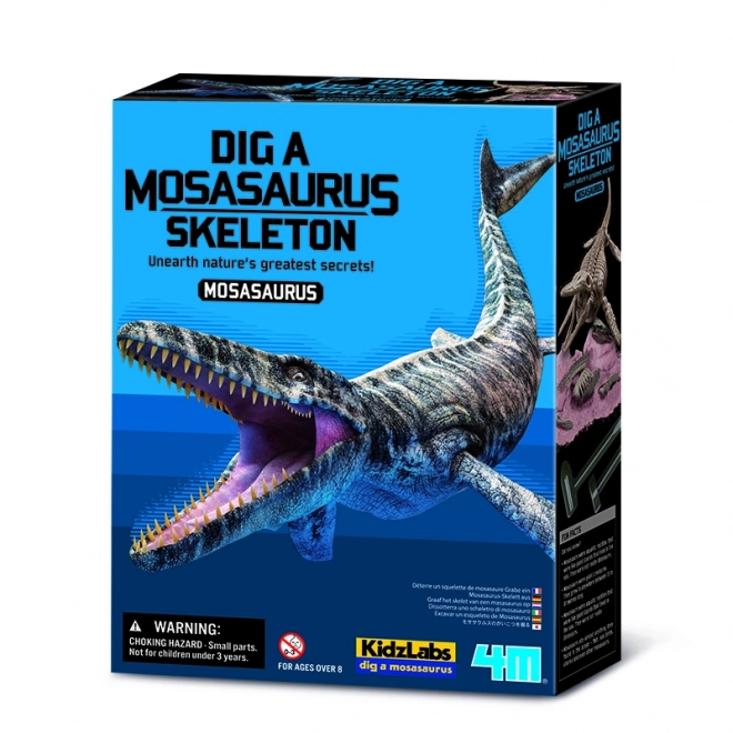 4M régész készlet - Mosasaurus csontváz