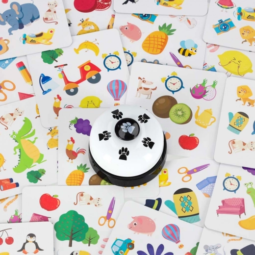 Gyors és izgalmas családi szórakozás