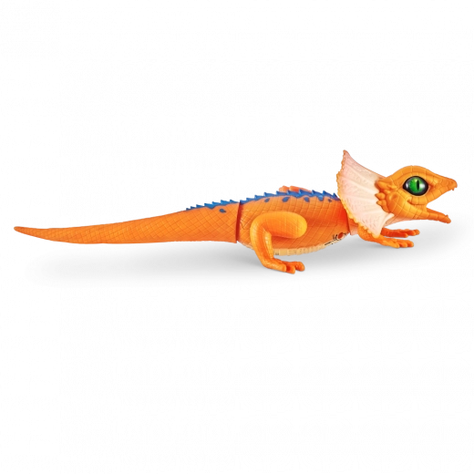 Valósághű megjelenés és színek