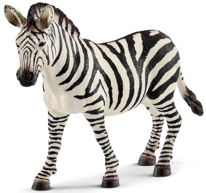 zebra nőstény figura