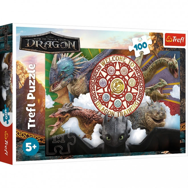 Puzzle 100 darabból - Sárkányok akcióban