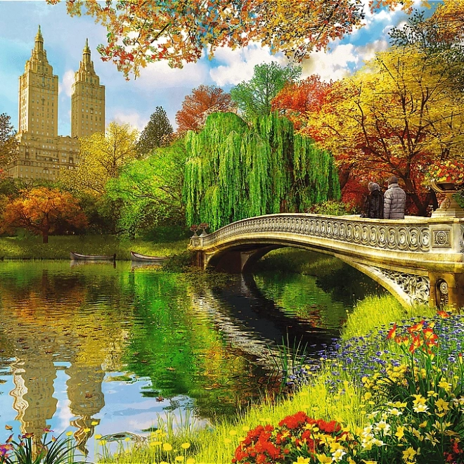 Fa puzzle Central Park New York