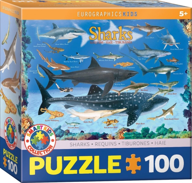 Eurographics cápa puzzle 100 darabbal