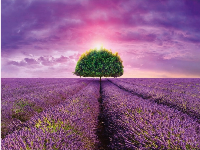 Lavender Field 2000 darabos puzzle