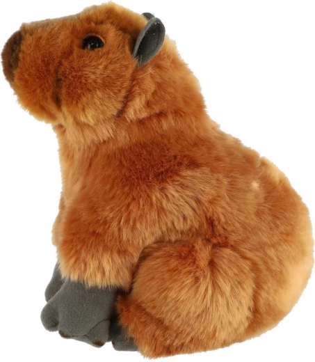 Biztonságos választás újszülött kortól