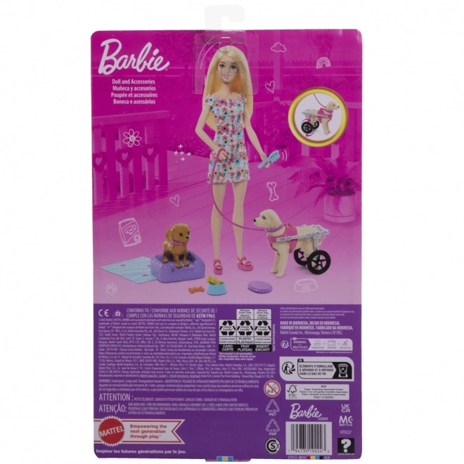 Barbie és kiskutyás játékszett kerekesszékkel