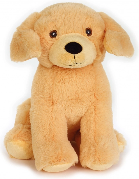 Játszó Eco Plüss Arany Retriever 22 cm