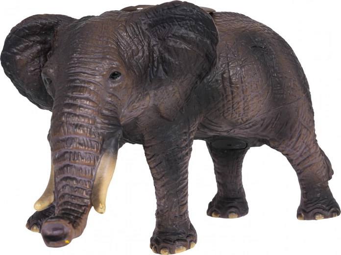 Realisztikus részletek és masszív kivitel