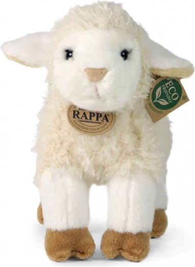 Exkluzív RAPPA kollekció