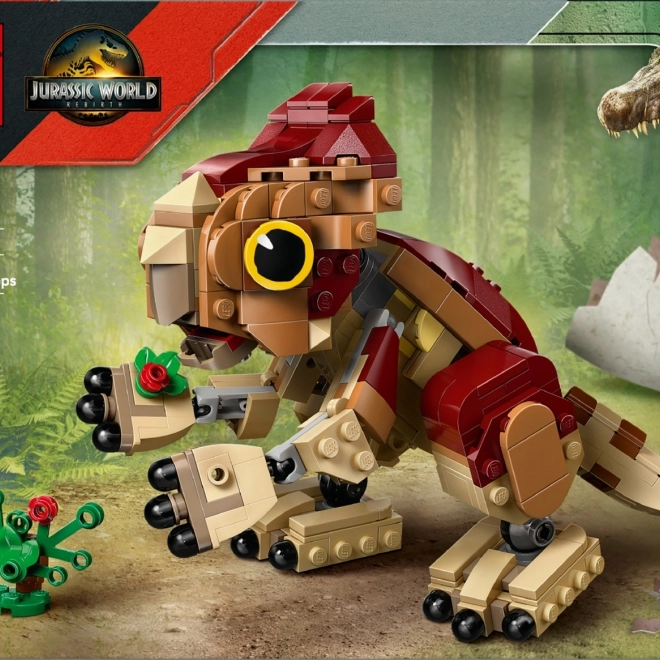 LEGO Jurassic World Kis dinoszaurusz Dolores: Aquilops
