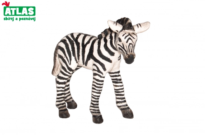 Zebra Csikó Figura