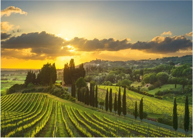 Vinice Maremma XL puzzle 500 darabos