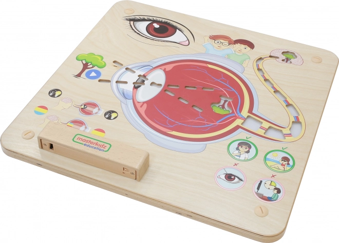 Masterkidz Oktatási észlelőtábla Montessori