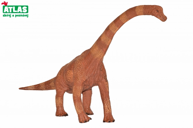 Brachiosaurus Dínófigura - 30 cm