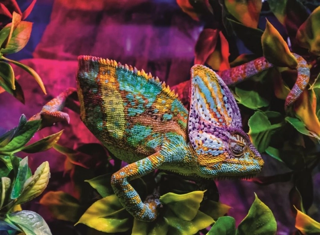 Ravensburger kaméleon puzzle 500 darabos