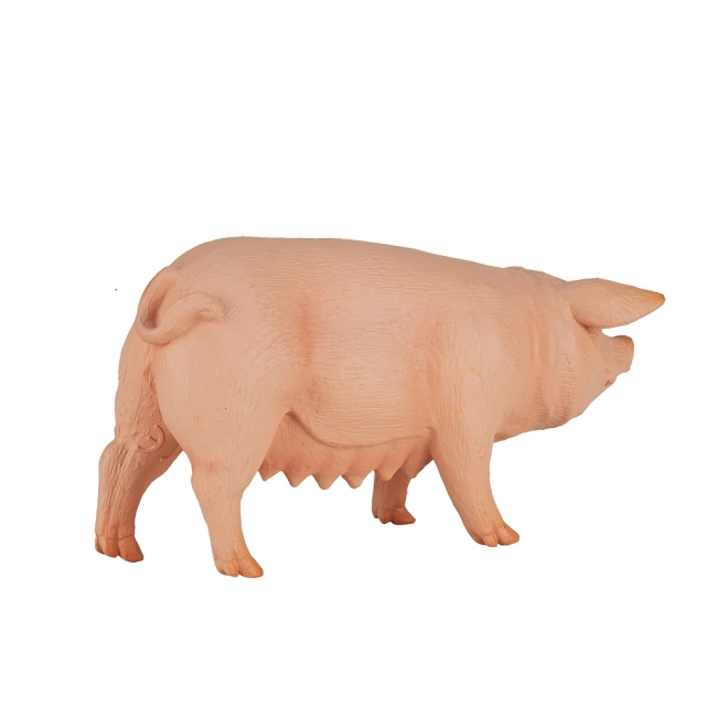 Ideális oktatási célokra