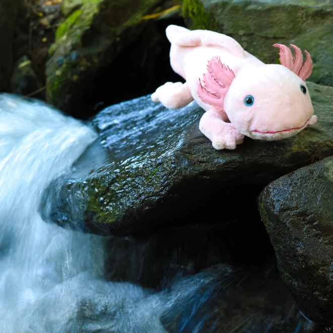Eco-barát plüss axolotl 33 cm