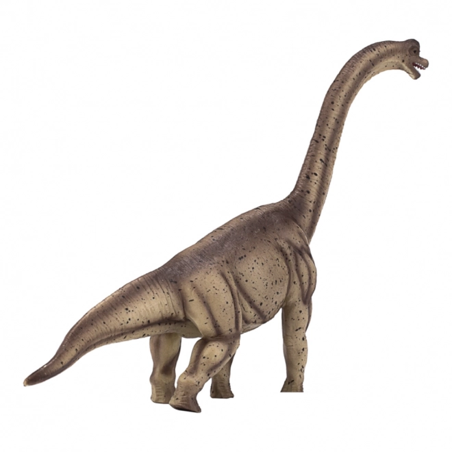 Mojo színes brachiosaurus figura