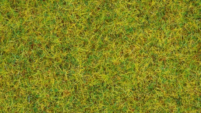Statikus fű Nyári rét 2,5 mm