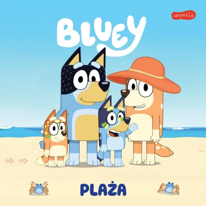 Bluey könyv - Tengerparti móka