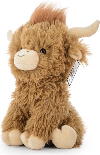 A Highland bocika autentikus megjelenése