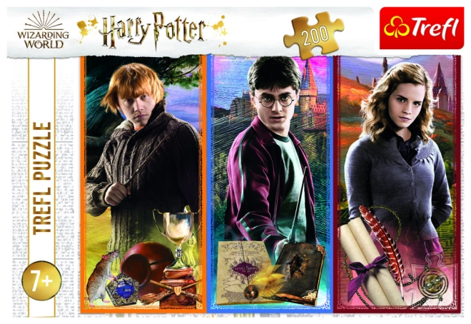 Hivatalos HARRY POTTER motívum a Trefltől