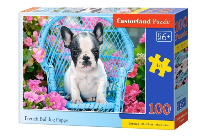 100 darabos francia bulldog kölyökkutya puzzle