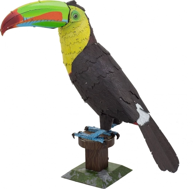 Fém 3D puzzle Tukán rövidcsőrűre