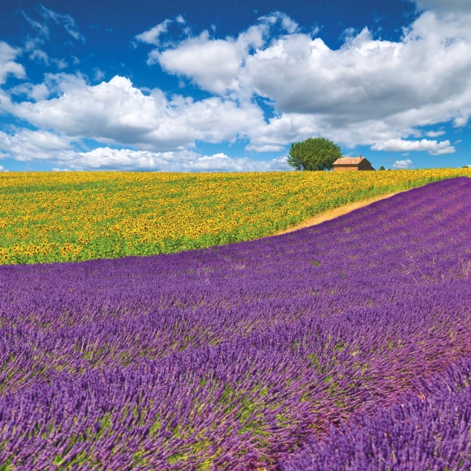 Provence Jegyzetnaptár 2026