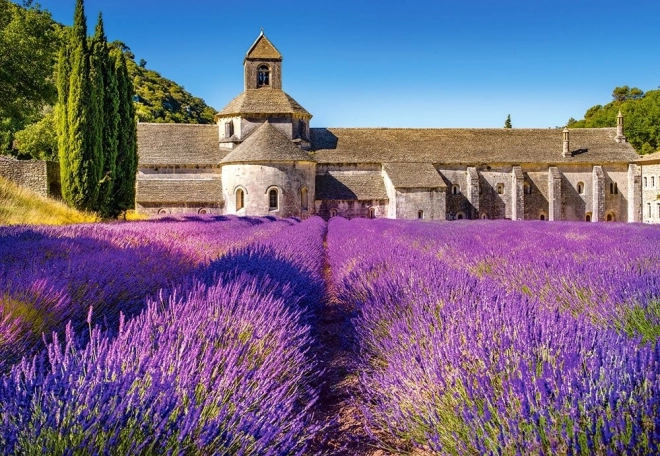 Provence levendulamező puzzle 1000 darabos