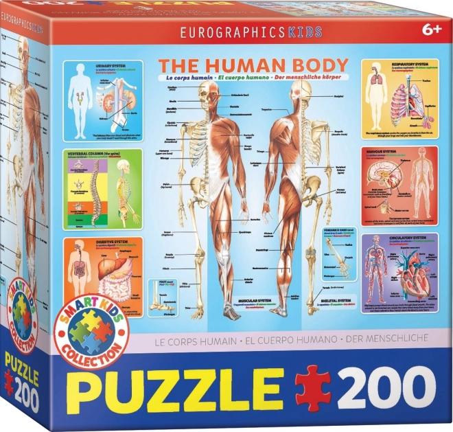 Az emberi test puzzle 200 darabos