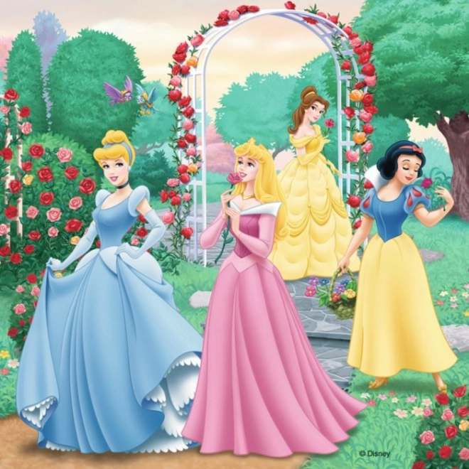 Ravensburger puzzle disney hercegnők: álmok