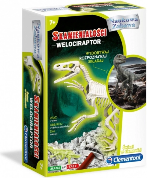 Velociraptor kövület