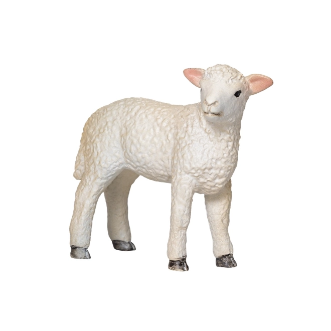 Autentikus textúra
