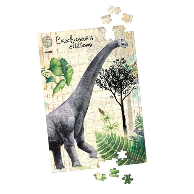 3D dinoszaurusz puzzle készlet