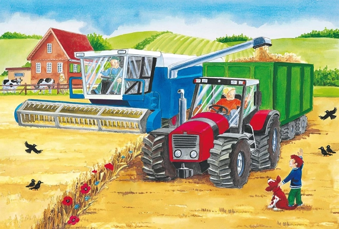 Élő farm akcióban