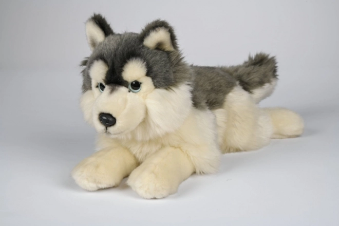 Husky plüssfigura