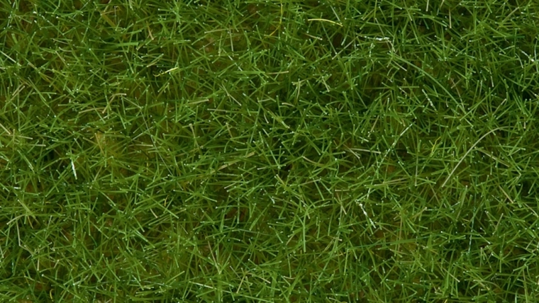 Sztatikus fű vad világoszöld 6 mm Noch